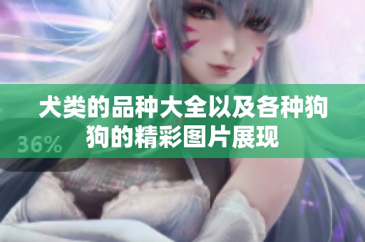 犬类的品种大全以及各种狗狗的精彩图片展现