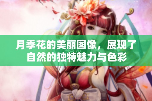 月季花的美丽图像，展现了自然的独特魅力与色彩