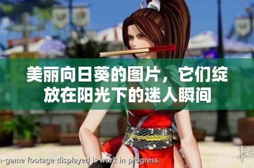 美丽向日葵的图片，它们绽放在阳光下的迷人瞬间