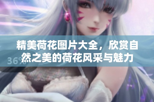 精美荷花图片大全，欣赏自然之美的荷花风采与魅力