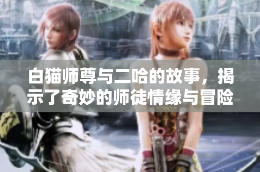 白猫师尊与二哈的故事，揭示了奇妙的师徒情缘与冒险旅程