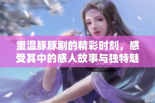 重温豚豚剧的精彩时刻，感受其中的感人故事与独特魅力