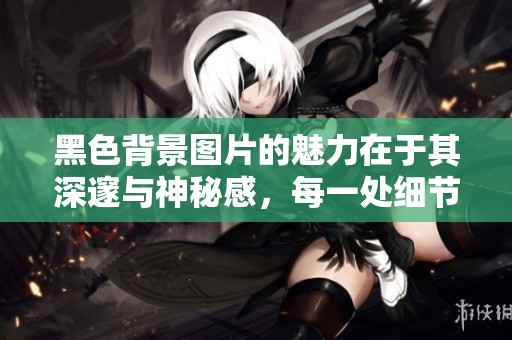 黑色背景图片的魅力在于其深邃与神秘感，每一处细节都引人遐思。