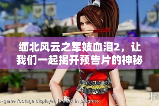 缅北风云之军妓血泪2，让我们一起揭开预告片的神秘面纱