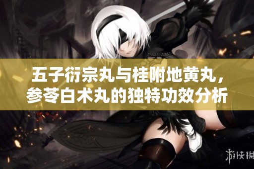 五子衍宗丸与桂附地黄丸，参苓白术丸的独特功效分析