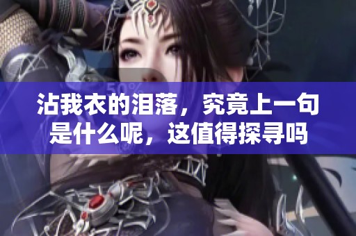 沾我衣的泪落，究竟上一句是什么呢，这值得探寻吗